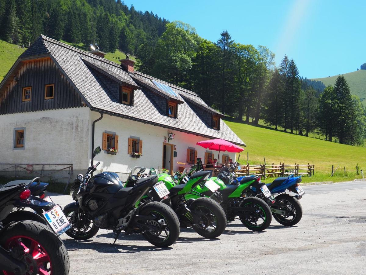 Zickerreith Almhutte Hostel Rosenau am Hengstpass ภายนอก รูปภาพ