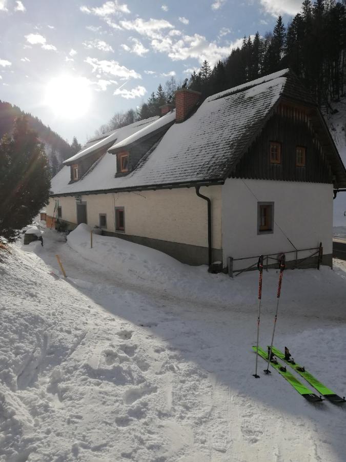 Zickerreith Almhutte Hostel Rosenau am Hengstpass ภายนอก รูปภาพ